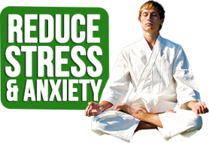 reduce stress with martial arts